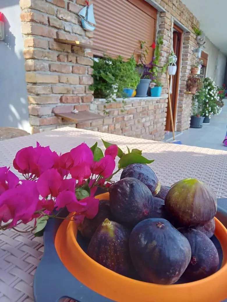 Vila Pasha Sarande Holiday home
